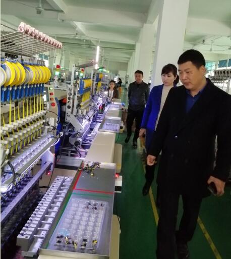 熱烈歡迎縣工商聯李主席蒞臨瑞碩電子指導工作